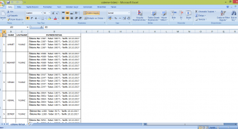 Asp.NET Excel Rapor Alırken Hücre İçine Enter Atma